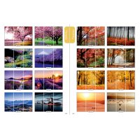 Фасад на шкаф купе "Природа" 001