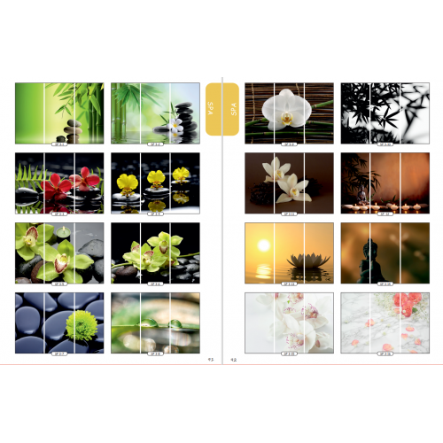 Фасад на шкаф купе "SPA" 001