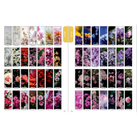 Фасад на шкаф купе "Цветы" 001