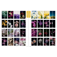 Фасад на шкаф купе "Цветы" 003