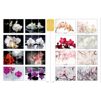 Фасад на шкаф купе "Цветы" 004