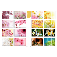 Фасад на шкаф купе "Цветы" 006