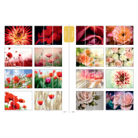 Фасад на шкаф купе "Цветы" 007