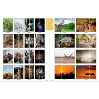 Фасад на шкаф купе "Животные" 001