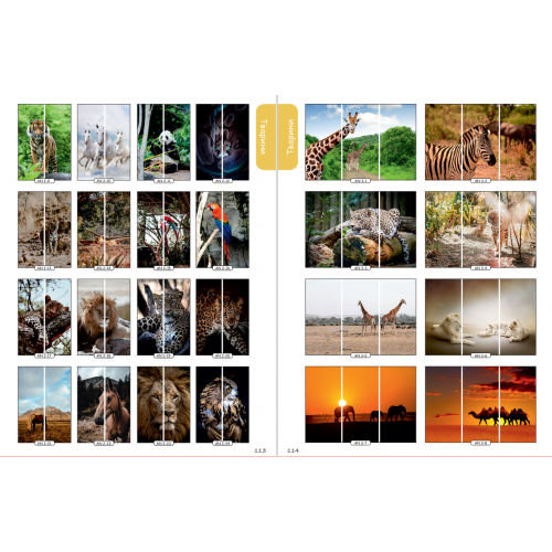 Фасад на шкаф купе "Животные" 001