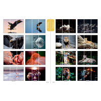 Фасад на шкаф купе "Животные" 002