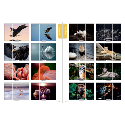 Фасад на шкаф купе "Животные" 002