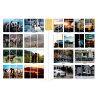 Фасад на шкаф купе "Животные" 003