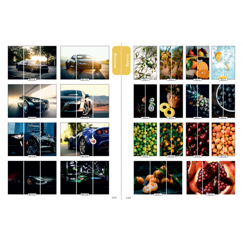 Фасад на шкаф купе "Фрукты" 001